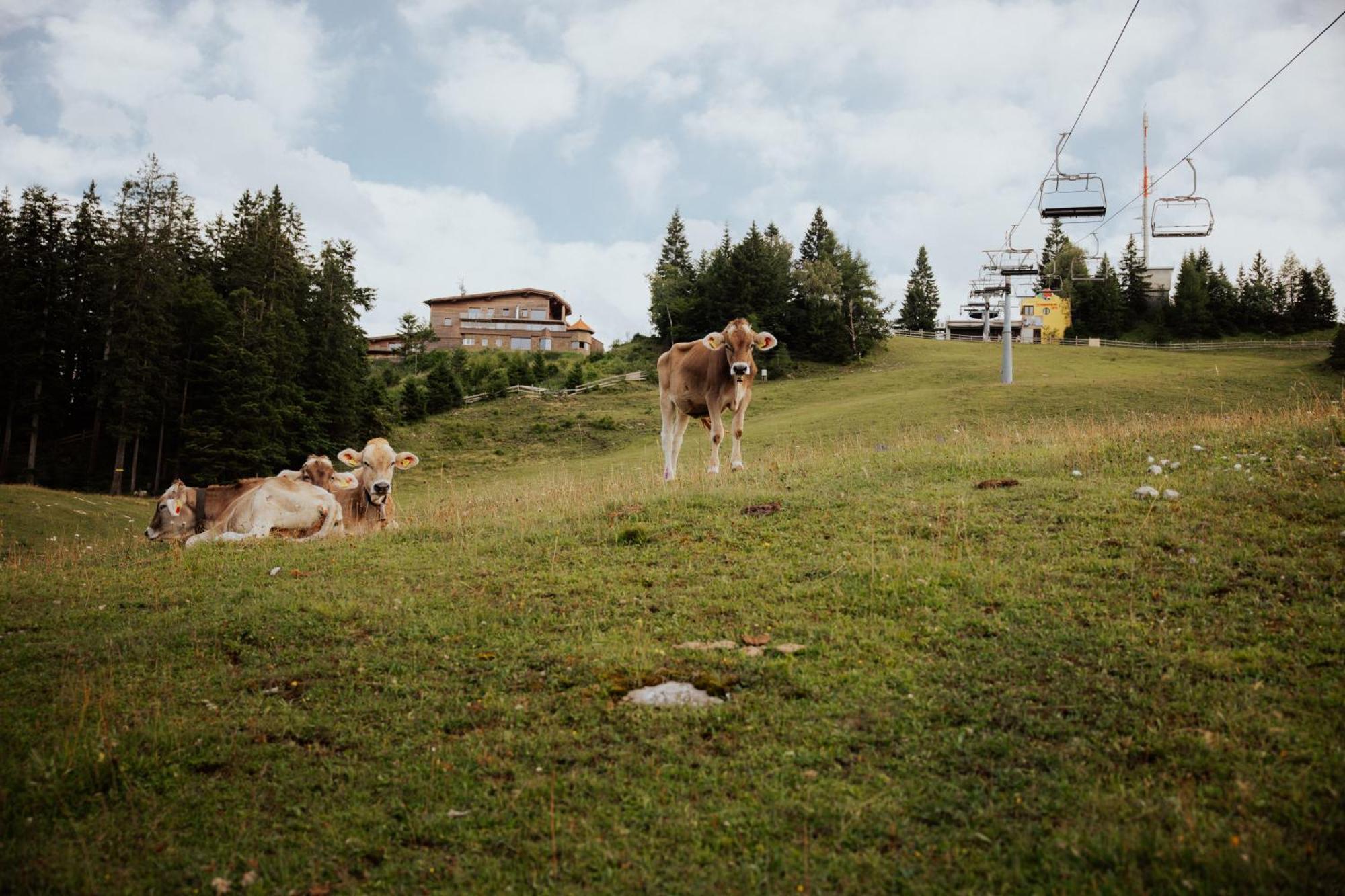 Chalet G12 - Mountain Luxury Apartments Seefeld in Tirol Luaran gambar